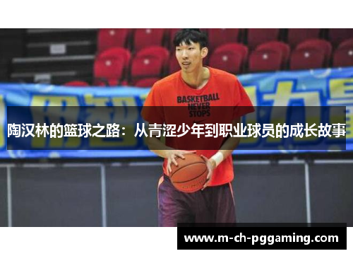 陶汉林的篮球之路：从青涩少年到职业球员的成长故事