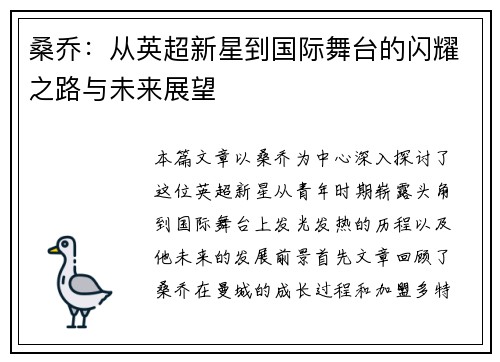 桑乔：从英超新星到国际舞台的闪耀之路与未来展望
